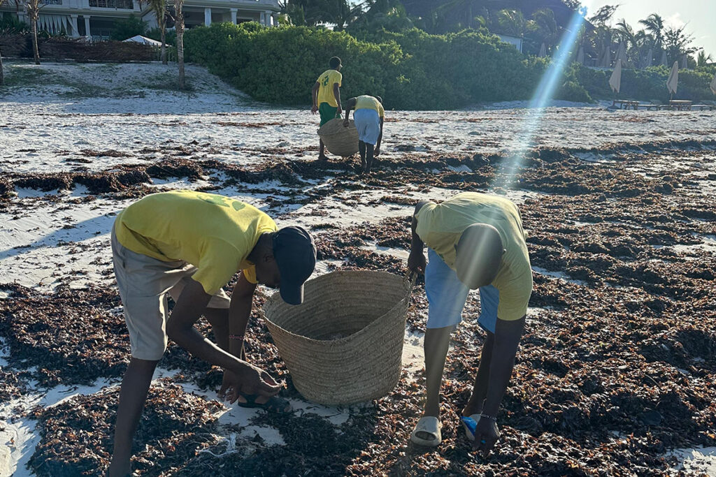 Barracuda Inn Pulizia